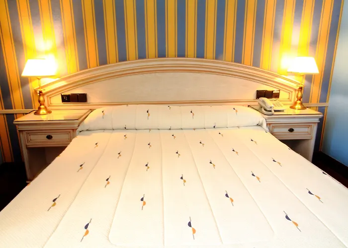 Conde Ansurez 4* Valladolid